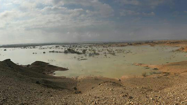 Затопленная низина в Араве. Фото: Асаф Шахам