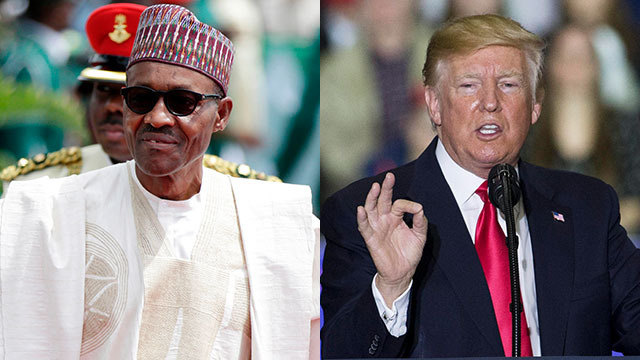 נשיא ניגריה מוחמדו בוחארי ודונלד טראמפ (צילום: AP ,EPA)