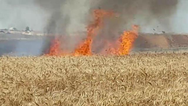 A wheat field torched by a Hamas incendiary kite Sunday