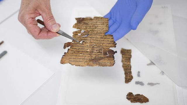 Preservation work on the Dead Sea Scrolls at IAA's laboratories (Photo: Shay Halevi, Israel Antiquities Authority)