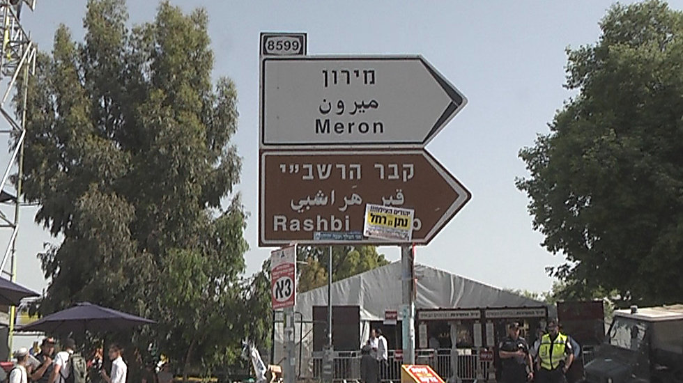 מתכוננים להילולה הגדולה בישראל (צילום: אלי מנדלבאום)