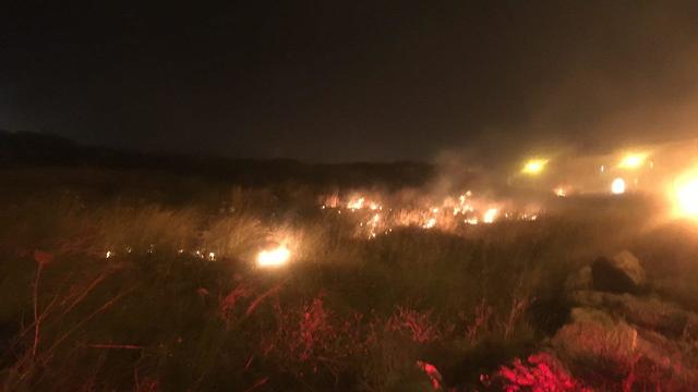 שריפה באלעד (צילום: רועי רובינשטיין)