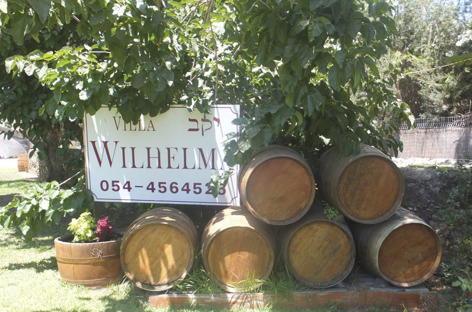 Винодельный завод "Вильгельма". Фото: Леон Левитас