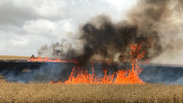 צילום: זיו קופרשטיין