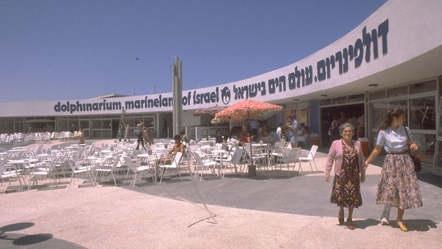 ה דולפינריום ב תל אביב 1981 (צילום: יעקב סער, לע