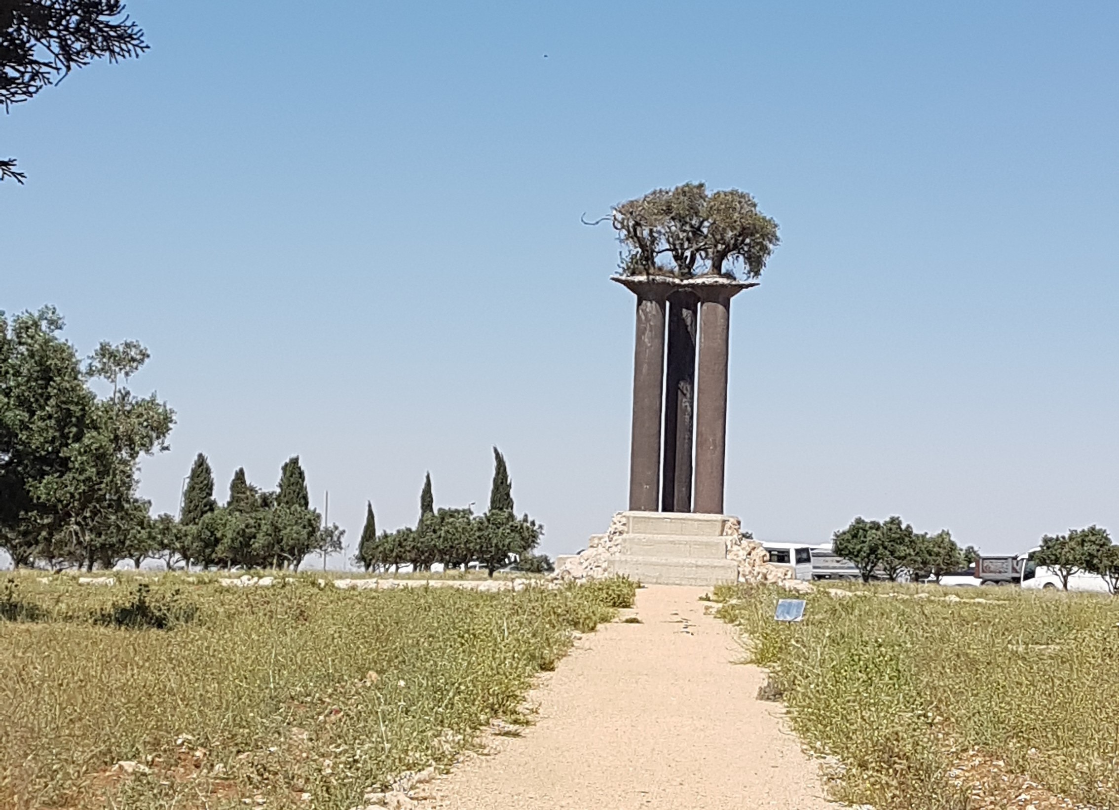  Монумент оливковым деревьям. Фото: Мира Зер