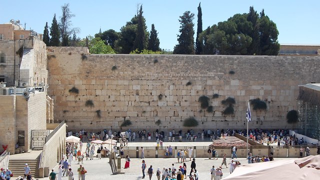 ירושלים (צילום: גיל שטרן)