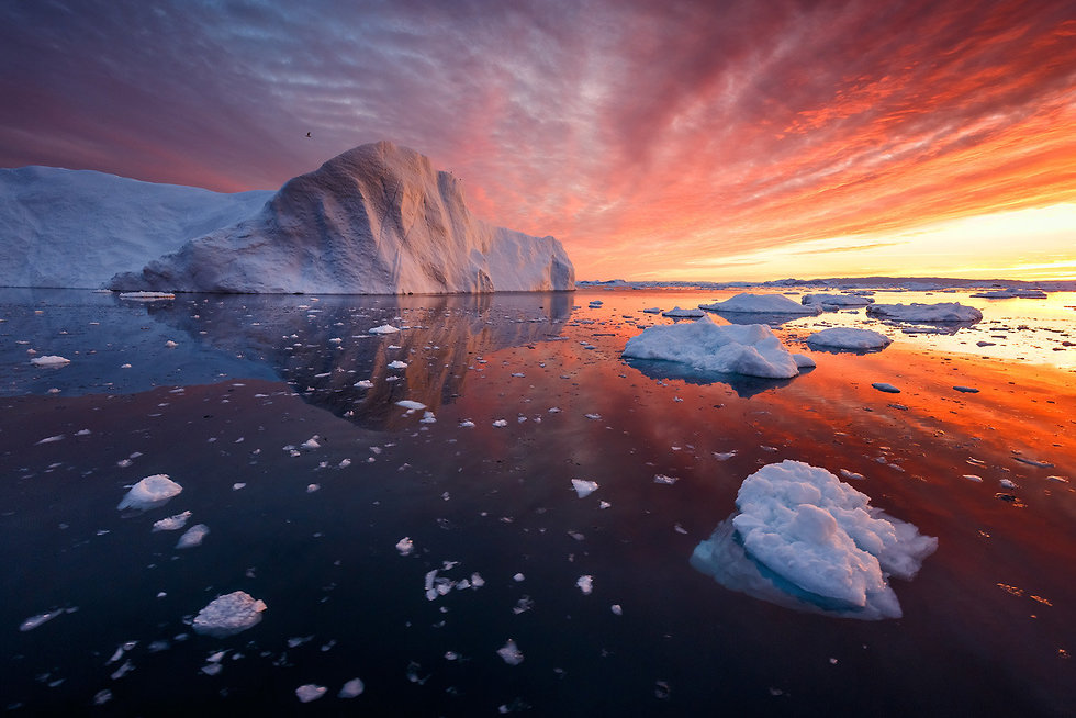 קרחונים בדיסקו ביי, גרינלנד (צילום: ארז מרום)