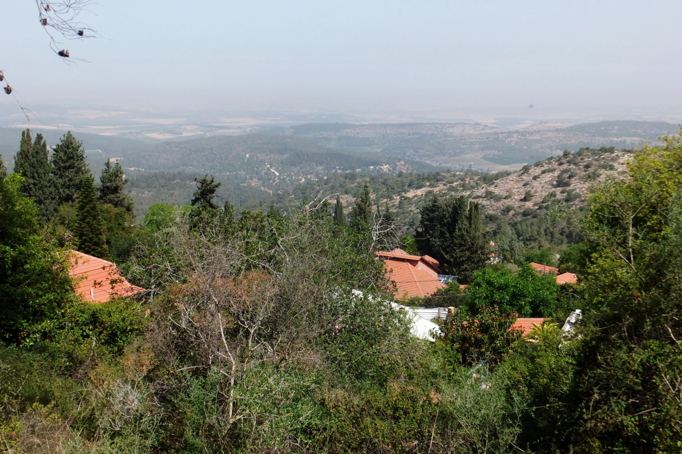 Мошав Бейт-Меир, построенный на месте бывшей арабской деревни Бейт-Махсир. С высоты холма просматривается шоссе на Иерусалим. Фото: Леон Левитас