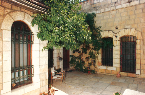 יחס של כבוד לעץ שנעדר מאדריכלות המגורים הנוכחית בישראל, ברוב המקרים (צילום: נילי פורטוגלי)