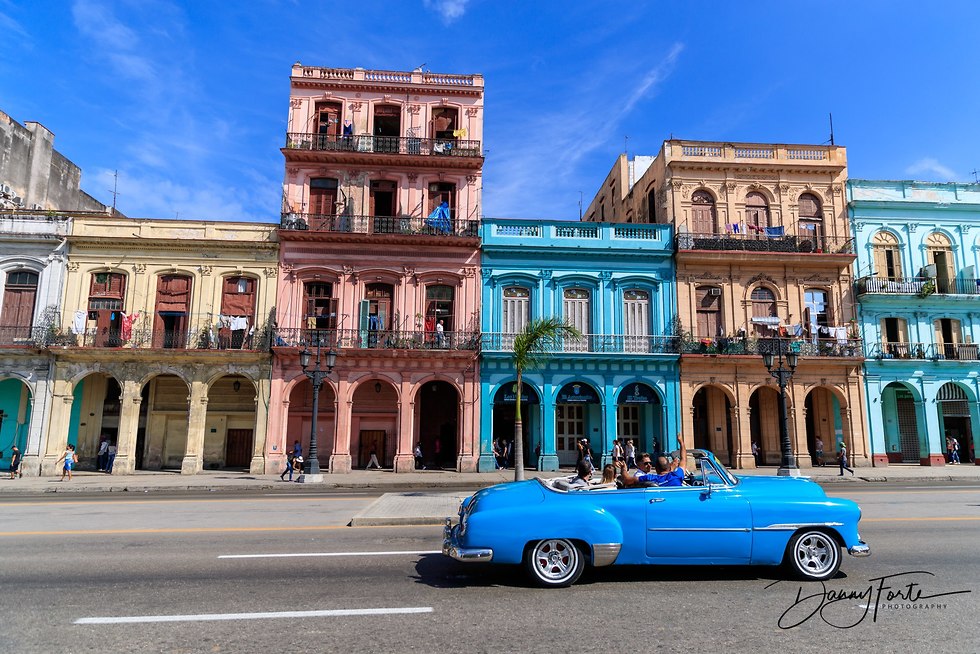 קובה 2910 (צילום: דני פורטה)