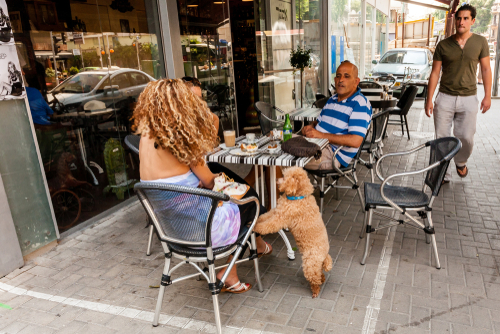 Кафе в Тель-Авиве. Фото: VittoriaChe shutterstock