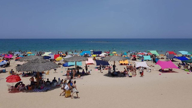 Palmachim beach at full capacity  (Photo: Baruch Tamam)
