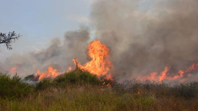 Fire at Karmia Nature Reserve 
