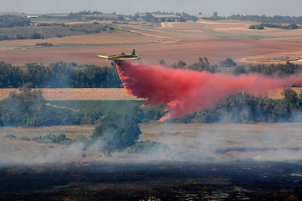 AirTractor израильской пожарной авиации. Фото: EPA