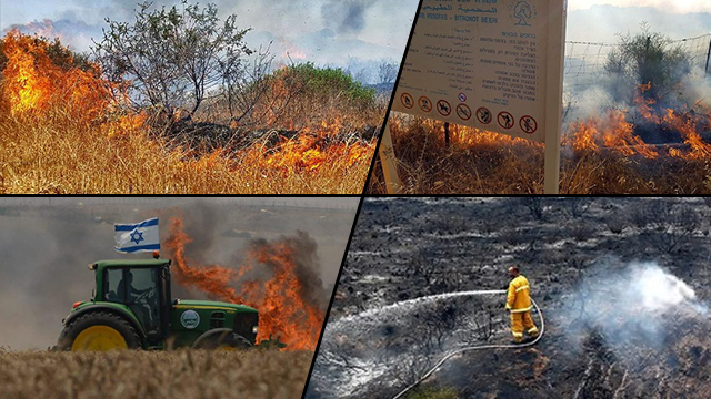 Пожар в заповеднике Махтеш-Беэри. Фото: Рои Идан