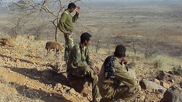 מלחמת אתיופיה אריתריאה  (צילום: AP)