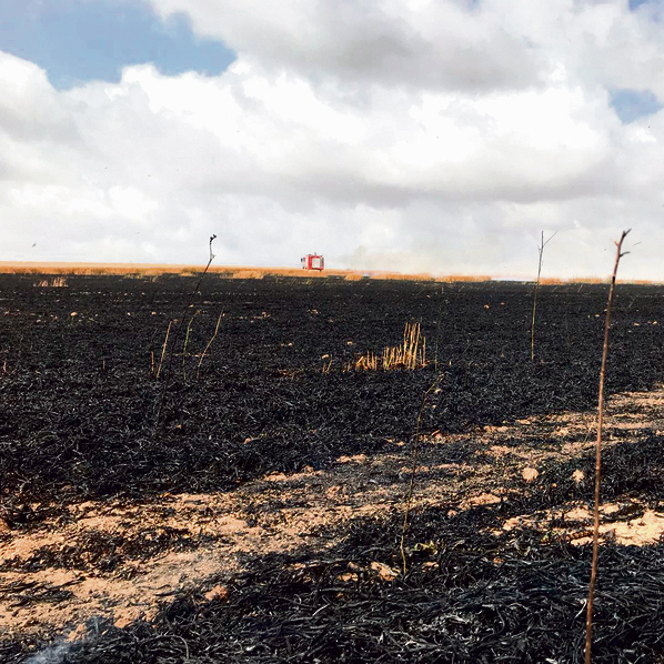The scorched fields of Nir Am. Photo taken by Gal Tzuri, 37, of Kibbutz Mefalsim, a teacher and an educator  