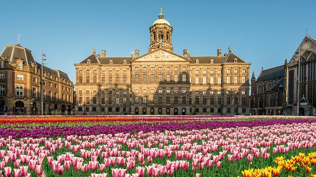 ארמון המלוכה באמסטרדם (צילום: shutterstock)