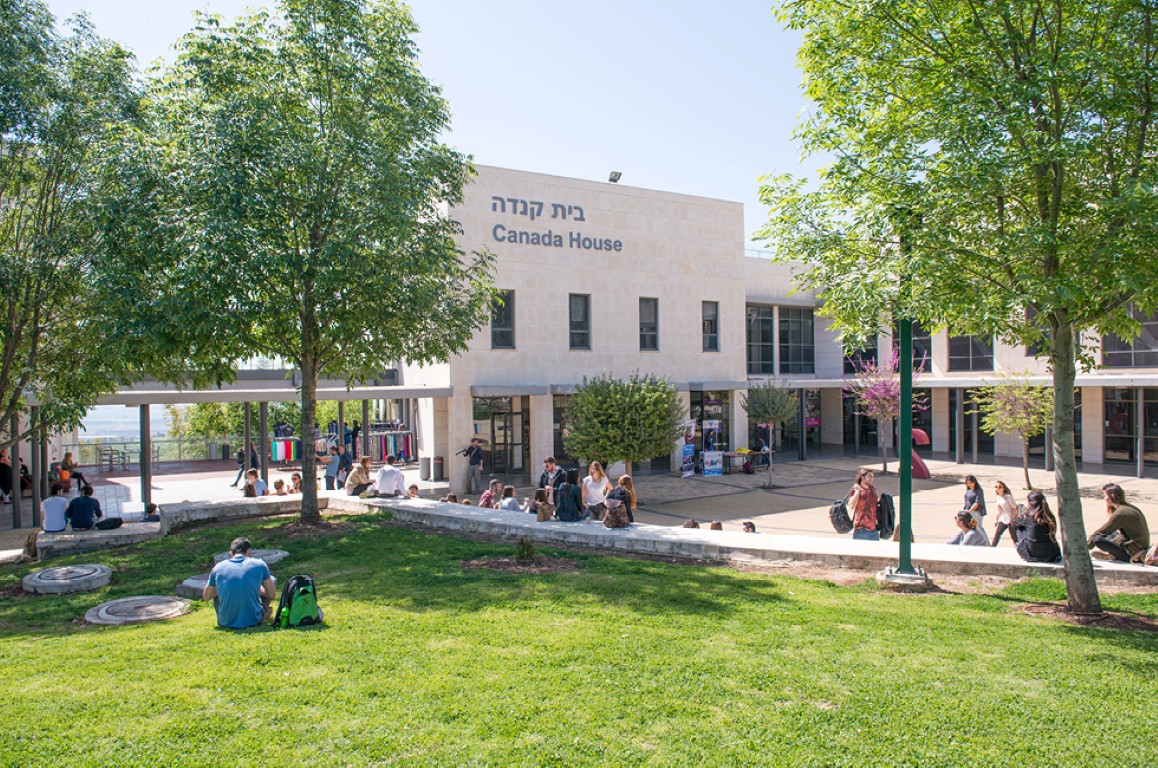 המכללה האקדמית תל חי תוכן פרסומי (צילום: shutterstock)