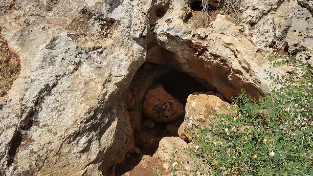 הפתח של המערה (צילום: אסף קמר)
