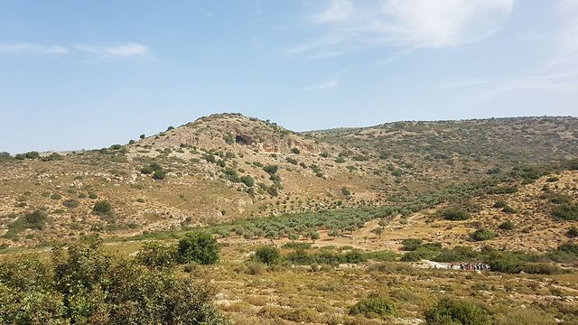 שמורת נחל קנה בשומרון (צילום: אסף קמר)