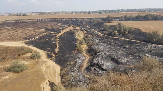 שטח חקלאי לאחר שריפה תל גמה  (צילום: בראל אפרים)