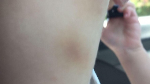 תמונה כללית