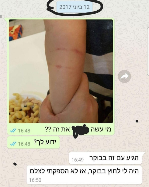 תמונה כללית