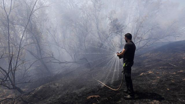 Forest near Kibbutz Be'eri burned by incendiary kites (Photo: EPA)