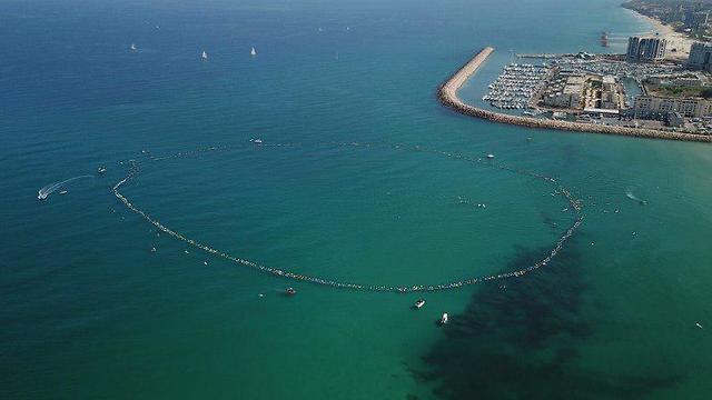 עגל גולשים בחוף הרצליה (צילום: שלאגר TV)