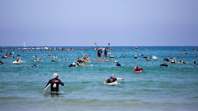 עגל גולשים בחוף הרצליה (צילום: AP)