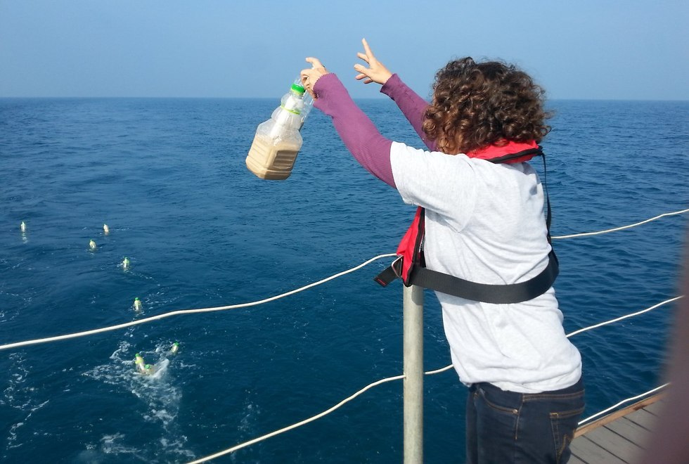 השלכת הבקבוקים לים התיכון (צילום: עמותת אקו אושן)
