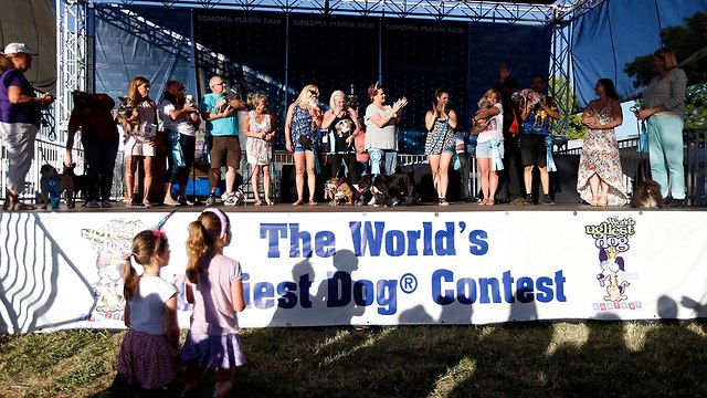 תחרות הכלב המכוער ביותר בעולם (צילום: EPA)