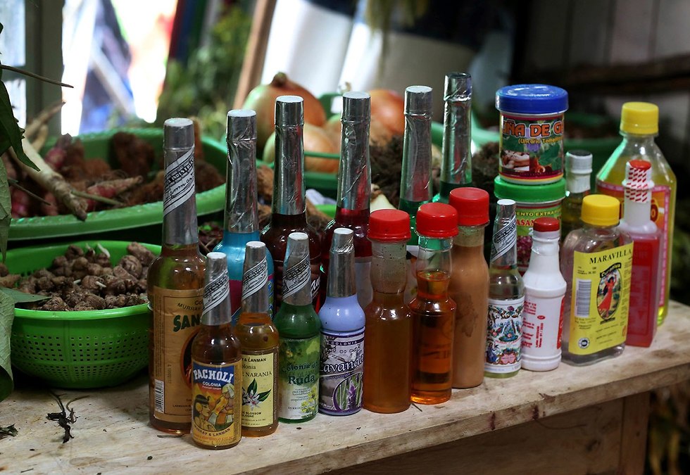 תעשיית ה איווסקה ב אמזונס פרו תה הזייתי (צילום: AP)