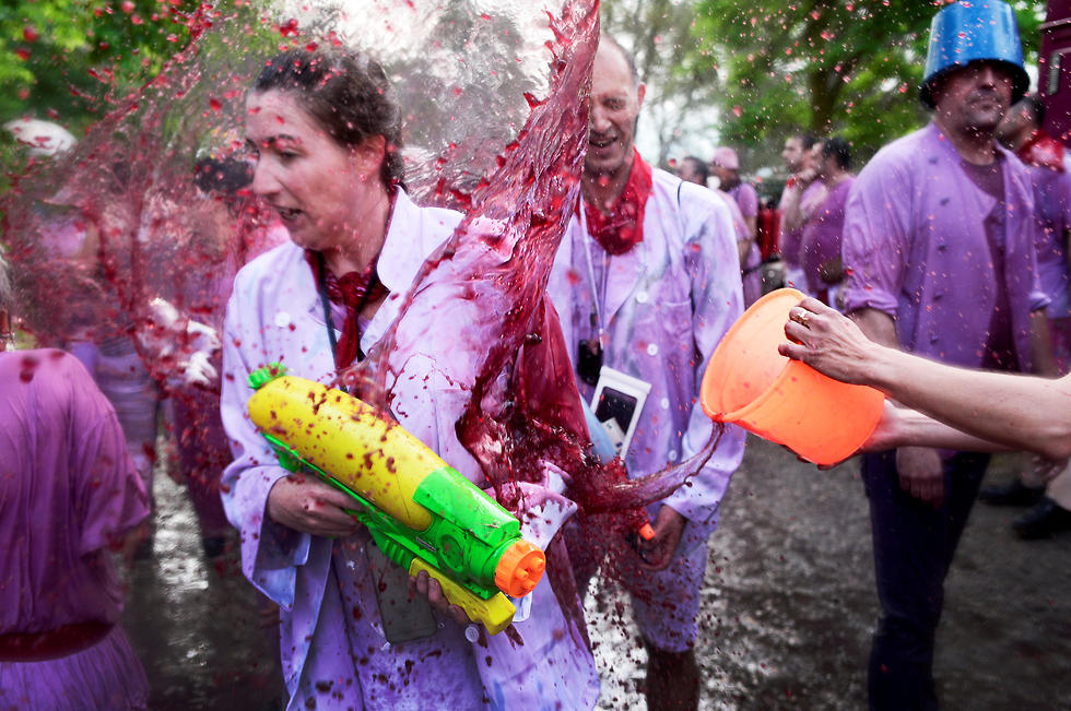מלחמת היין המסורתית (צילום: רויטרס)