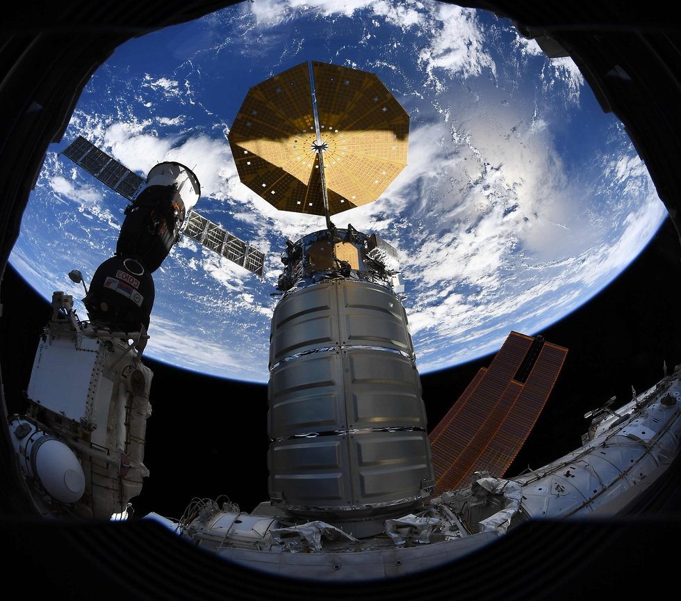 עוד מבט מהחלון של תחנת החלל (צילום: ריצ'רד ארנולד , נאס
