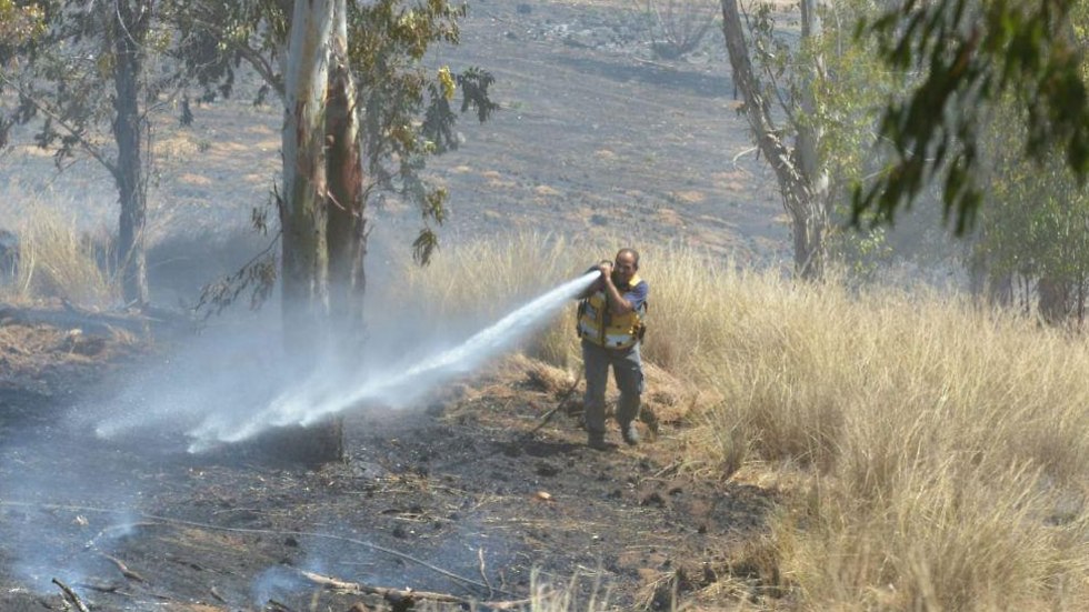 שריפה ביער בארי כתוצאה מבלון תבערה (צילום: איציק לוגסי, יערן קק״ל)