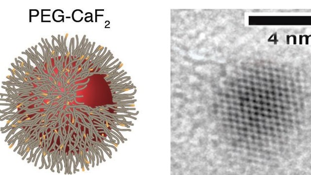 ננו-גביש של סידן פלואורי כפי שהוא נראה תחת מיקרוסקופ אלקטרונים (מימין) ואיור סכמטי של ננו-גביש שעבר פגילציה (משמאל) (צילום: מסע הקסם המדעי, מכון ויצמן)