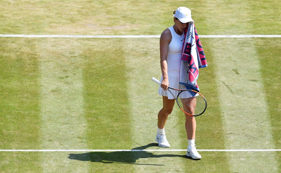 צילום: רויטרס