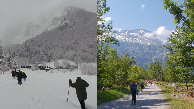 השוואה של שמורת  הטבע Sixt Fer a Cheval בין החורף לקיץ (צילום: אביבית צנטי)