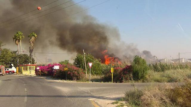 שריפה סמוך לקיבוץ רופין (צילום: דוברות מועצת עמק המעיינות)