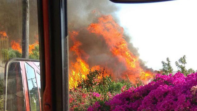 שריפה סמוך לקיבוץ רופין (צילום: דוברות כבאות והצלה מחוז צפון)