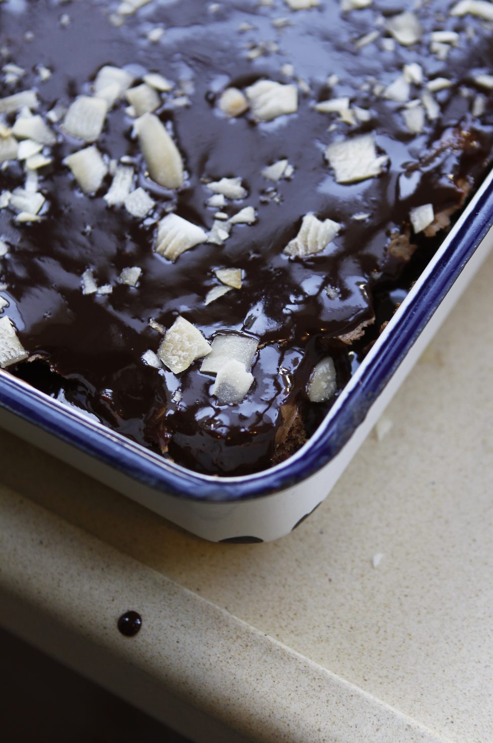 עוגת שוקולד ללא קמח של הילה אלפרט (צילום: איתיאל ציון)
