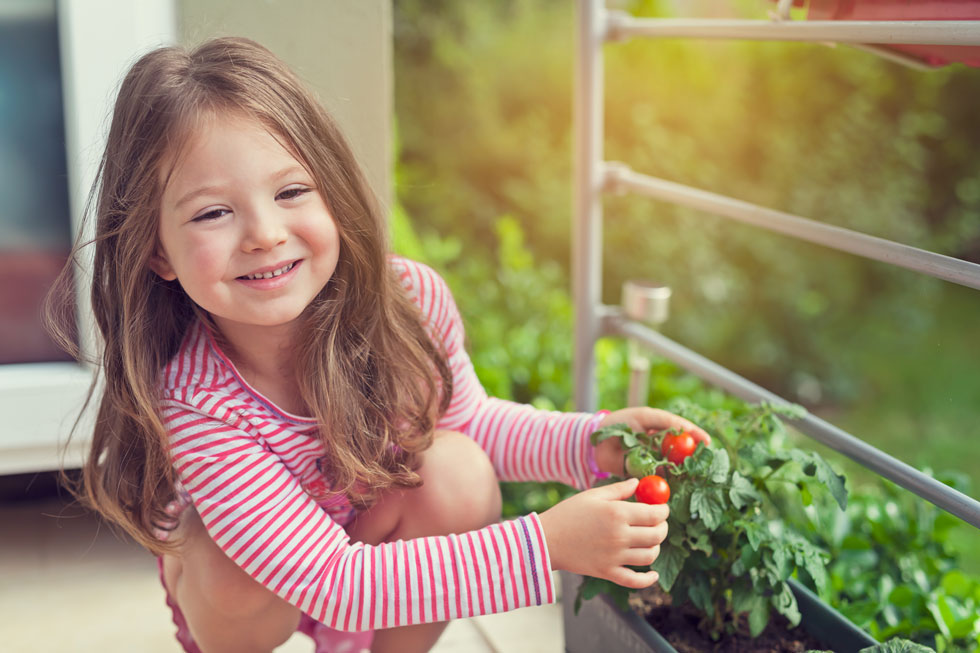 מה אפשר לגדל עכשיו במרפסת? עגבניות שרי, פלפלים, חצילים ומלפפונים (צילום: Shutterstock)