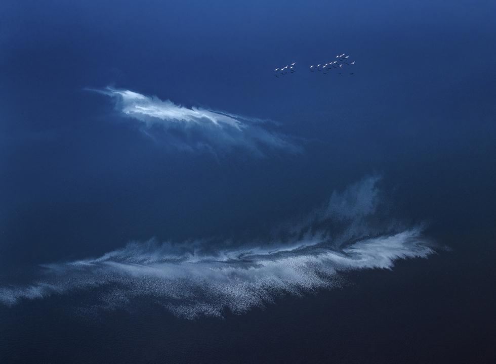 ציפורים במעוף בים סוער (צילום:  Zhiqiang Huang / Drone Awards Photographer of the Year 2018)