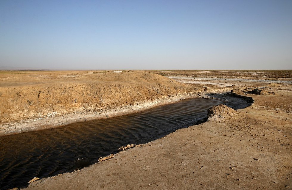 ביצת גבחוני סמוך לנהר זיינדה רוד מחוז איספהאן איראן  (צילום: AP)