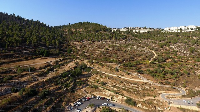 רכס לבן ירושלים (צילום: דב גרינבלט, החברה להגנת הטבע)