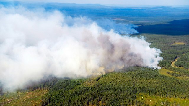 שבדיה שוודיה שריפות ענק (צילום: AP)