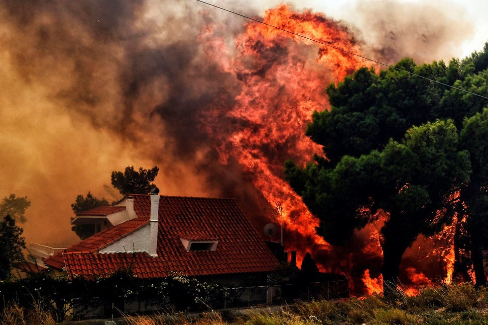 Пожары в Греции. Фото: AFP